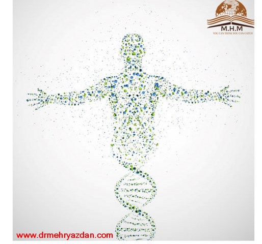 انسان های موفق و موفقیت موفقیت،انسان های موفق